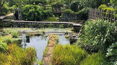 🏞️ 매화말풀 마을 (미시마 바이카모노사토) 이미지 2